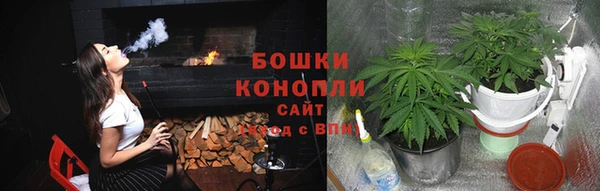 ПСИЛОЦИБИНОВЫЕ ГРИБЫ Балахна