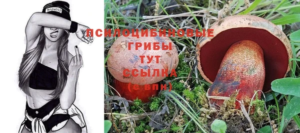 PSILOCYBIN Арсеньев