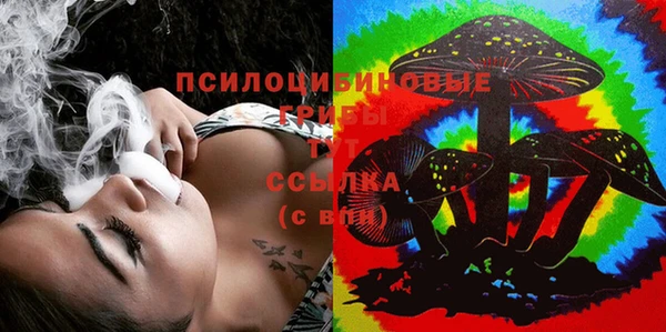 PSILOCYBIN Арсеньев