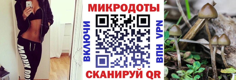 Псилоцибиновые грибы Psilocybe  Реутов 