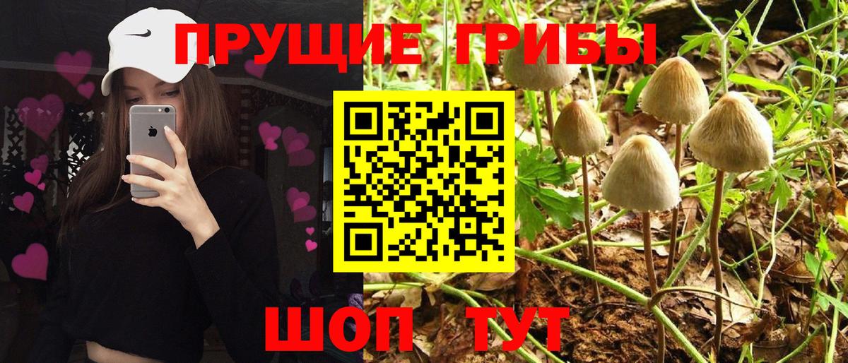 Галлюциногенные грибы мицелий Реутов